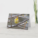 Search for palm springs cards Nature