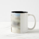 Search for great horn owl mugs Nature