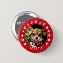 Recherche de amour de chat badges Pour animaux