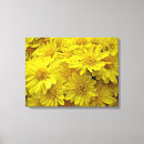Recherche de chrysanthème art Floral
