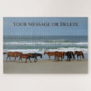 Search for outer banks puzzles Beach