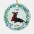 Search for sausage ornaments Black and tan