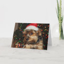 Search for yorkshire terrier christmas cards Cute