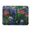 Recherche de country magnets Usa