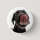 Search for lick buttons Cute
