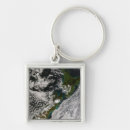 Recherche de terrestre porteclés Verticale