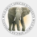 Recherche de éléphant africain autocollants Faune