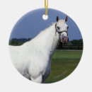 Search for appaloosa horse ornaments Standing