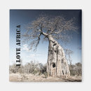 Search for love trees magnets Travel