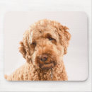 Search for mixes mousepads Pet