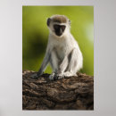 Search for game reserve art Mary ann mcdonald