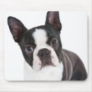 Search for boston electronics Dog mom