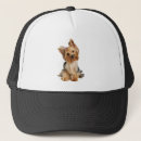 Search for yorkies hats Animal