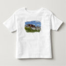 Search for hilltop tshirts Sky
