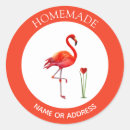 Search for flamingo love stickers Birthday