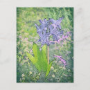 Search for blue bell flower postcards Nature