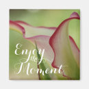 Search for callas magnets Floral