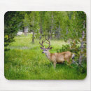 Search for buck mousepads Meadow