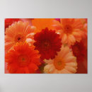Recherche de marguerites art Pour elle