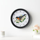 Search for robin clocks Animals