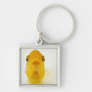 Search for comet keychains Photography