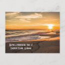 Recherche de photo de dauphin cartes postales Pour tous