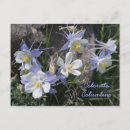 Recherche de columbine cartes postales Fleur