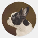 Search for funny veterinarian stickers Puppy