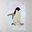 Search for inger hogstrom posters Antarctica