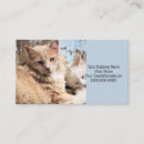 Search for furry business cards Cute