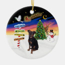 Search for miniature pinscher gifts Pets