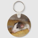 Search for cute rats keychains Pet rat