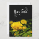 Search for isolate invitations Beautiful