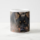 Search for shepherd puppy mugs Canine