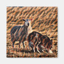 Search for ewe magnets Farm