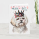 Search for maltese birthday cards Dogs
