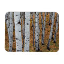 Search for alpine loop Forest