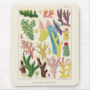 Search for coral sea mousepads Vintage