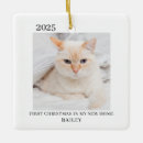 Search for pet first ornaments Simple