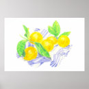 Search for kitchen posters Citrus