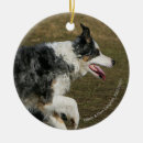 Search for dog run ornaments Running