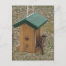 Search for finch Feeder