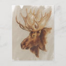 Search for studies postcards Nature