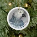 Search for african grey parrot ornaments Bird