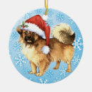 Search for tibetan spaniel dogs ornaments Tibbie
