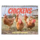 Search for chicken farm calendars Chickens