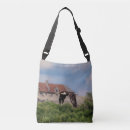 Search for balding bags Nature