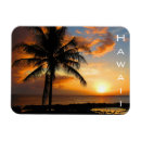 Recherche de hawaii magnets Maui