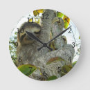 Search for cute sloth clocks Wildlife