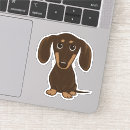 Search for chocolate electronics Dog